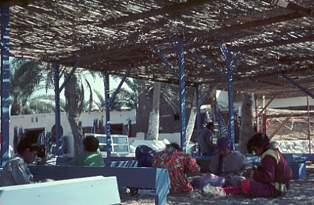 Egypt photos - Dahab - Children at work