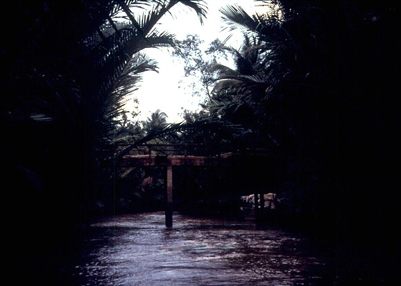 mekong-delta_jungle_col.jpg