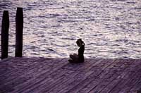 Venice photos - Venetian Woman