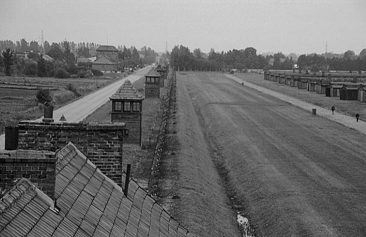 Poland photos - Auschwitz I I Birkenau - Fence and guard towers - b&w