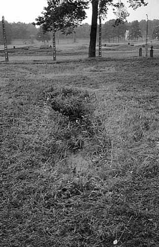 Poland photos - Auschwitz I I Birkenau - Small Pit - b&w