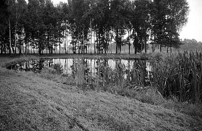 Poland photos - Auschwitz I I Birkenau - The Pond - b&w