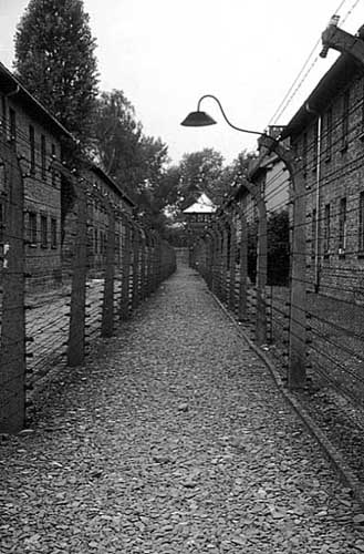 Poland photos - Auschwitz I - Fences - b&w