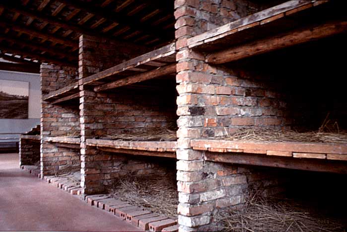 Poland photos - Auschwitz I - Sleeping Bunks - color