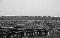 Auschwitz II Birkenau photos - Execution Courtyard - Camp Overview 3