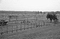 Auschwitz II Birkenau photos - Execution Courtyard - Camp Overview 2