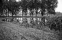 Auschwitz I Main Camp photos - Execution Courtyard - Black Wall