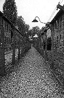 Auschwitz I Main Camp photos - Fences